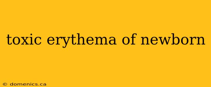 toxic erythema of newborn