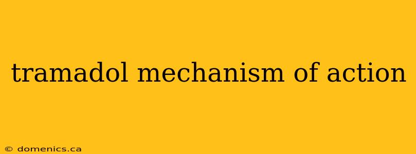 tramadol mechanism of action