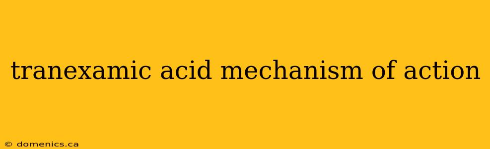 tranexamic acid mechanism of action