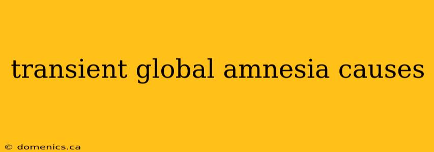 transient global amnesia causes