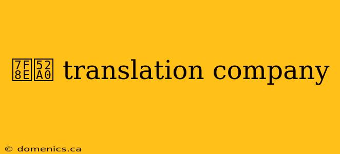 美加 translation company