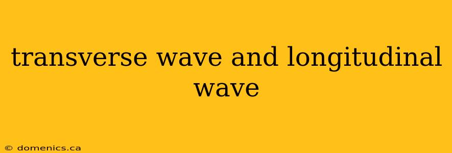 transverse wave and longitudinal wave