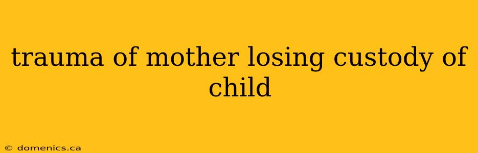 trauma of mother losing custody of child