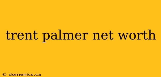 trent palmer net worth