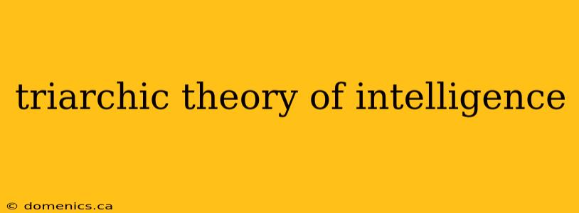 triarchic theory of intelligence