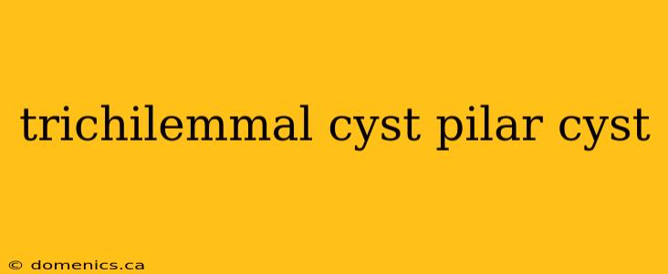 trichilemmal cyst pilar cyst