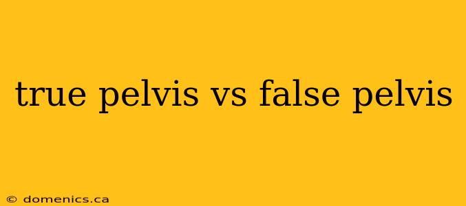 true pelvis vs false pelvis