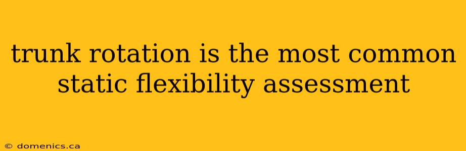trunk rotation is the most common static flexibility assessment