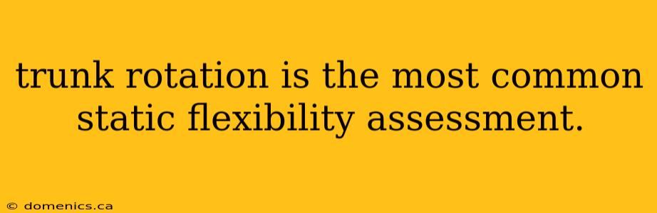 trunk rotation is the most common static flexibility assessment.