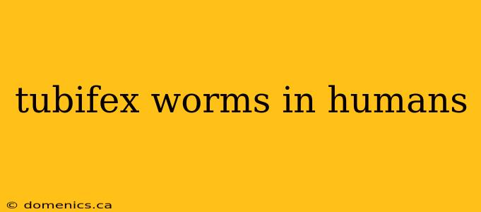 tubifex worms in humans