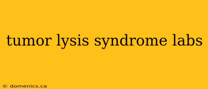 tumor lysis syndrome labs