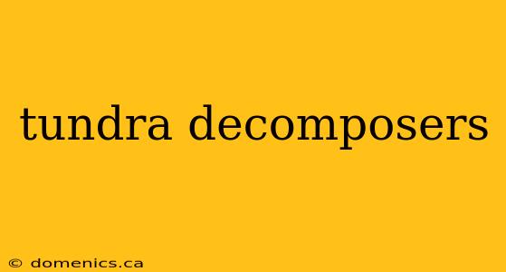 tundra decomposers