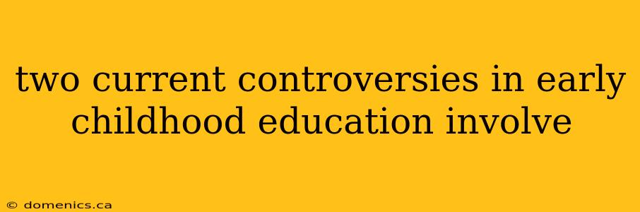 two current controversies in early childhood education involve