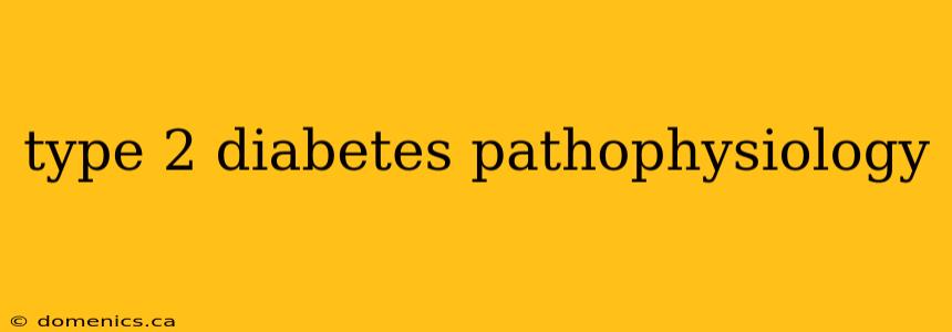 type 2 diabetes pathophysiology