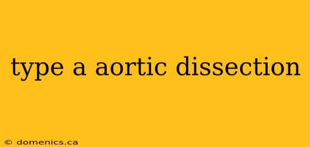 type a aortic dissection