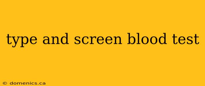 type and screen blood test