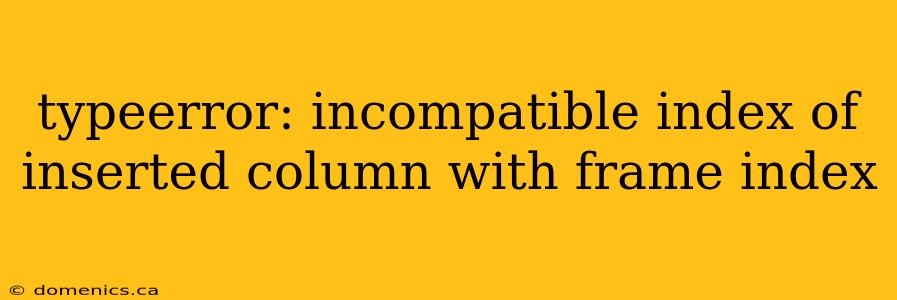 typeerror: incompatible index of inserted column with frame index
