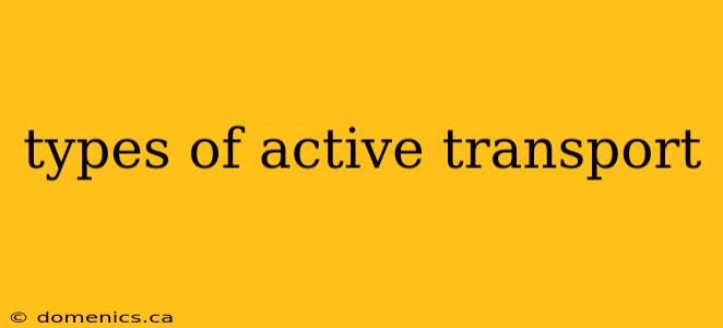 types of active transport