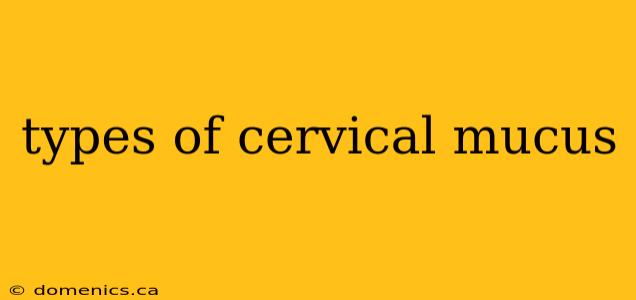 types of cervical mucus