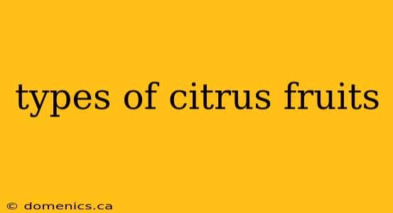 types of citrus fruits