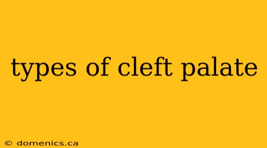 types of cleft palate