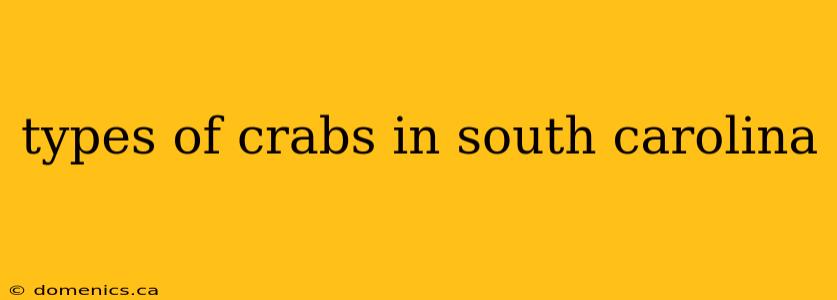 types of crabs in south carolina