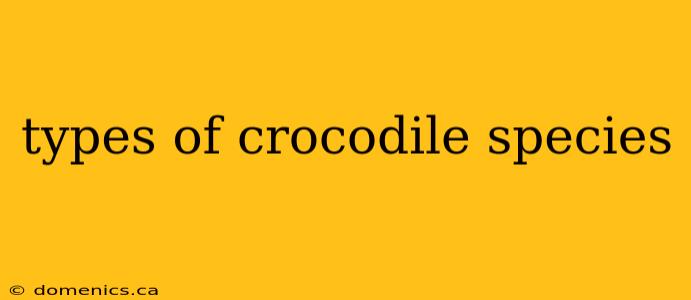 types of crocodile species