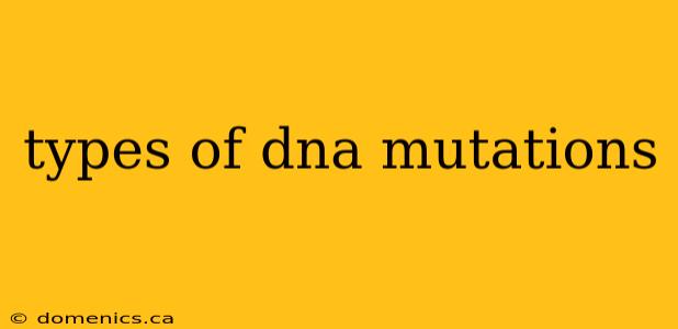 types of dna mutations