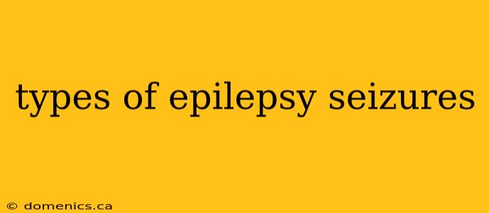 types of epilepsy seizures