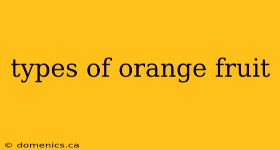 types of orange fruit