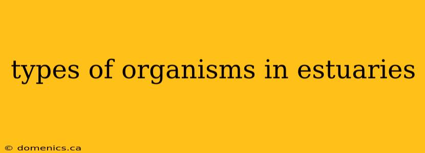 types of organisms in estuaries