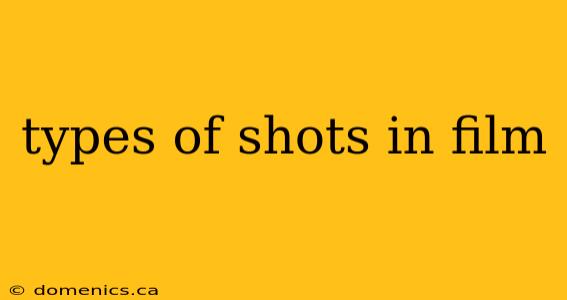 types of shots in film