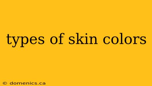 types of skin colors