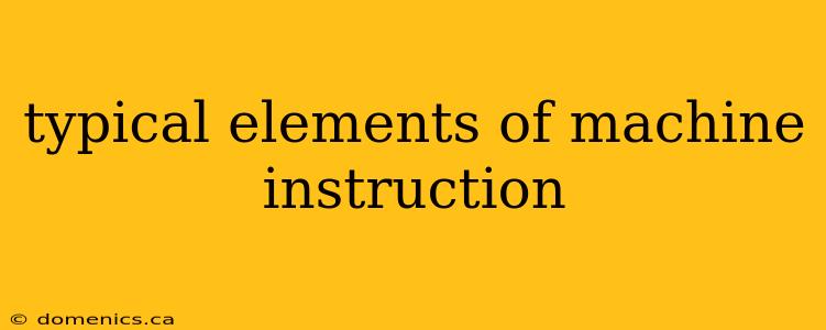 typical elements of machine instruction