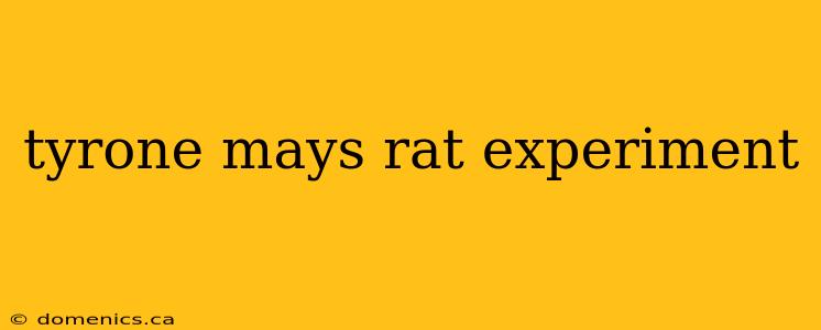 tyrone mays rat experiment