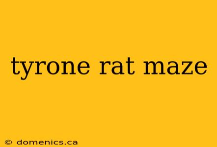 tyrone rat maze