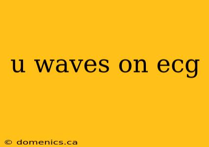 u waves on ecg