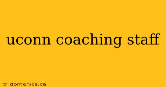 uconn coaching staff