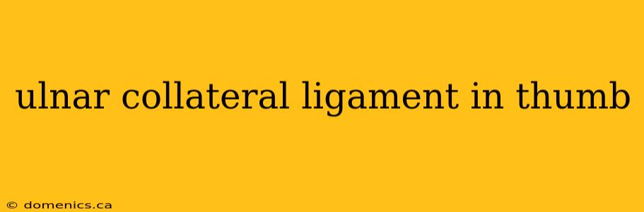 ulnar collateral ligament in thumb