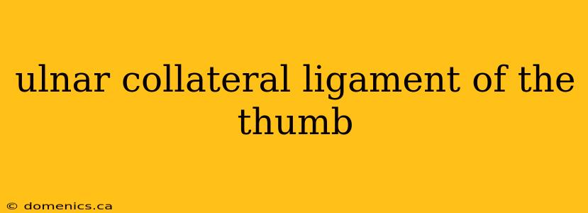 ulnar collateral ligament of the thumb