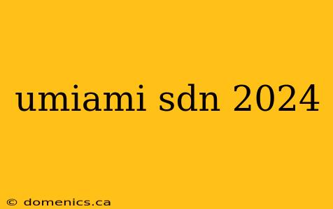 umiami sdn 2024