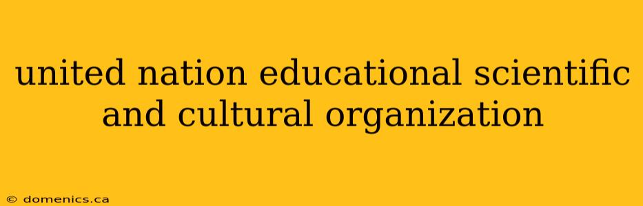 united nation educational scientific and cultural organization