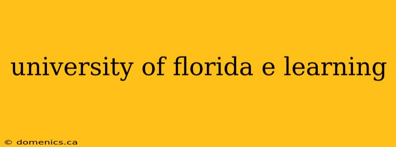 university of florida e learning