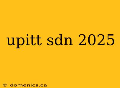 upitt sdn 2025