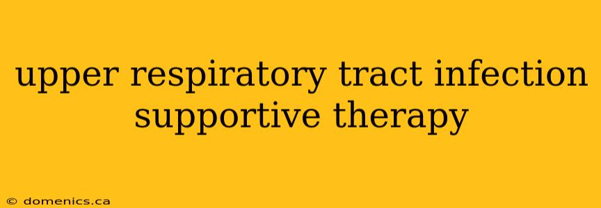 upper respiratory tract infection supportive therapy