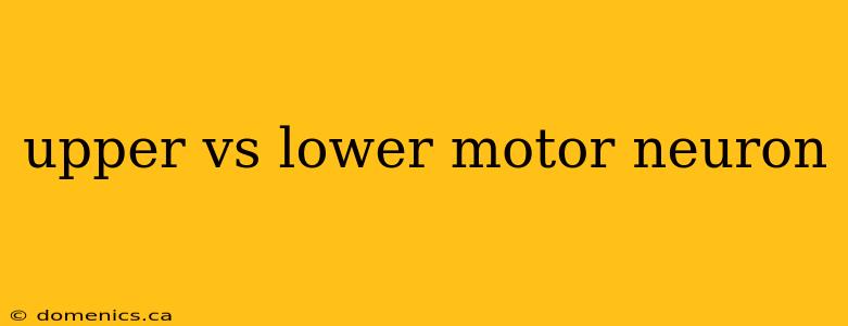 upper vs lower motor neuron