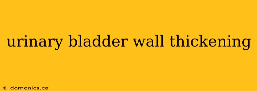 urinary bladder wall thickening