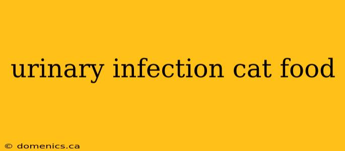 urinary infection cat food