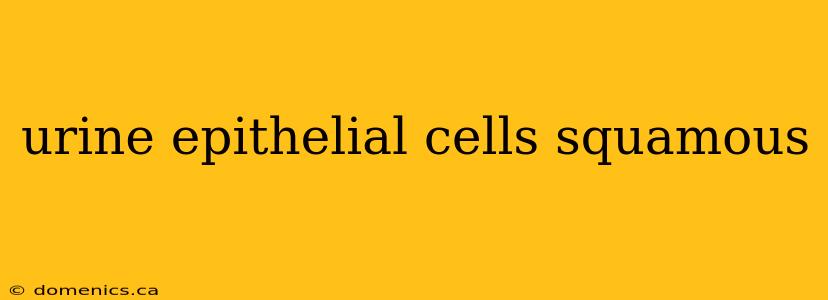 urine epithelial cells squamous