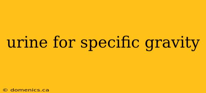 urine for specific gravity
